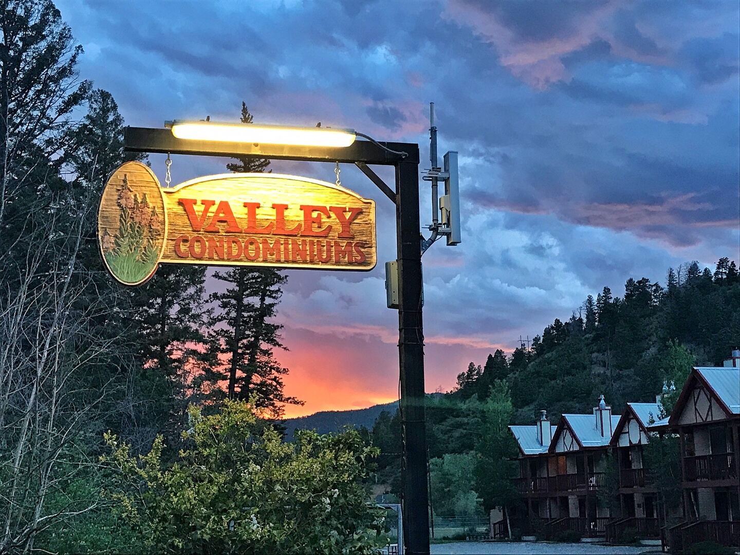 Pioneer Creek valley view